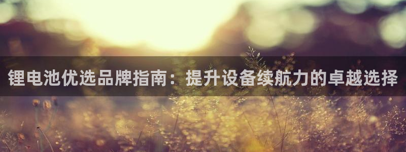 尊龙凯时人生就是搏包装优势：锂电池优选品牌指南：提升设备续航力的卓越选择