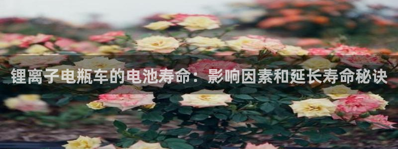 尊龙凯时有封银行卡的吗：锂离子电瓶车的电池寿命：影响因素和延长寿命秘诀