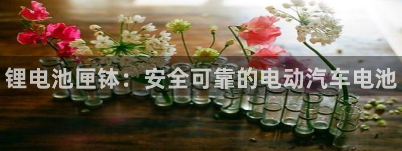 尊龙凯时ag旗舰厅登陆：锂电池匣钵：安全可靠的电动汽车电池