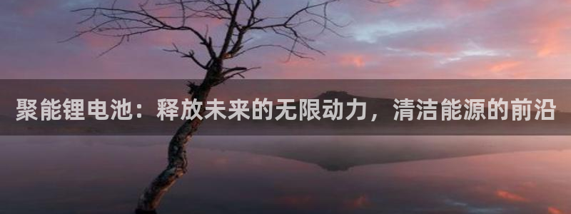 z6尊龙凯时旗舰厅首页：聚能锂电池：释放未来的无限动力，清洁能源的前沿
