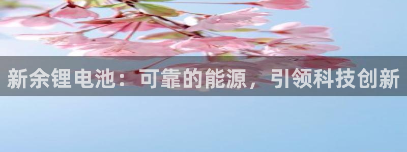 尊龙物流怎么样：新余锂电池：可靠的能源，引领科技创新