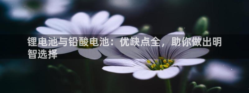 ag尊龙凯时俱乐部：锂电池与铅酸电池：优缺点全，助你做出明
智选择