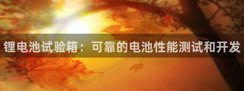 尊龙凯时人生就是搏!平台