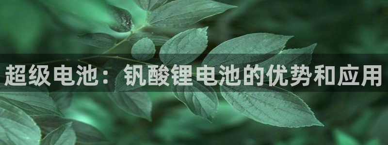 尊龙现金娱乐 下载