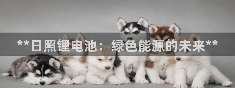 尊龙-人生就是博：**日照锂电池：绿色能源的未来**