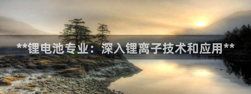 有人在凯时赢过钱吗：**锂电池专业：深入锂离子技术和应用**