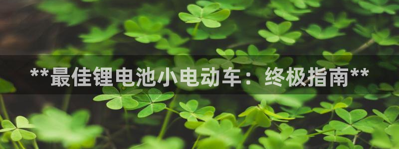 尊龙客服：**最佳锂电池小电动车：终极指南**