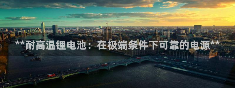 尊龙官方网站最新版V9.3.06介绍：**耐高温锂电池：在极端条件下可靠的电源**