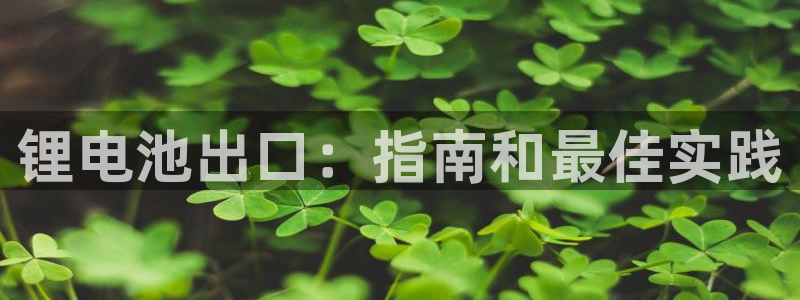 凯时k66会员登录：锂电池出口：指南和最佳实践