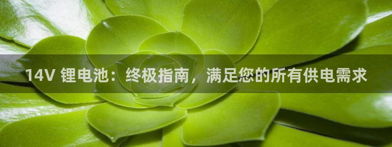 尊龙凯时可以提现吗：14V 锂电池：终极指南，满足您的所有供电需求