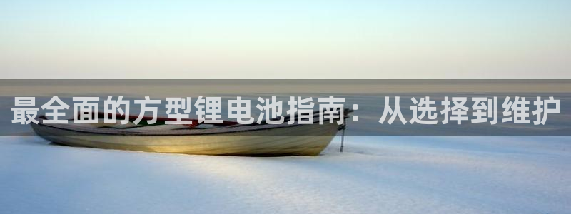尊龙人生就是-首页(中国)有限公司：最全面的方型锂电池指南：从选择到维护