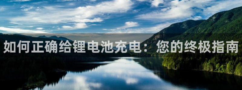 尊龙app怎么样：如何正确给锂电池充电：您的终极指南