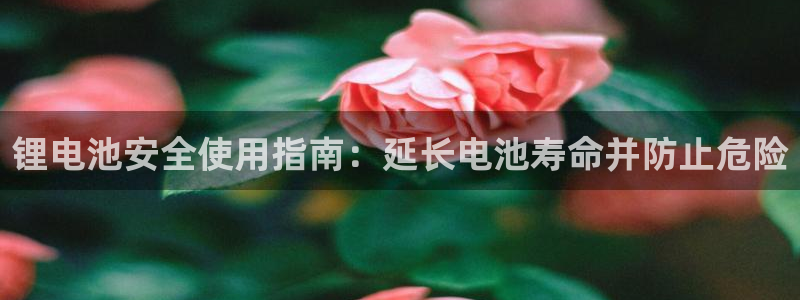 尊龙d88平台版下载：锂电池安全使用指南：延长电池寿命并防止危险