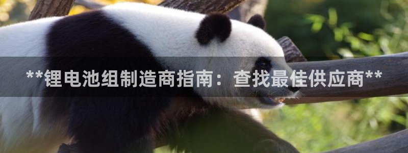 尊龙 贴吧：**锂电池组制造商指南：查找最佳供应商**