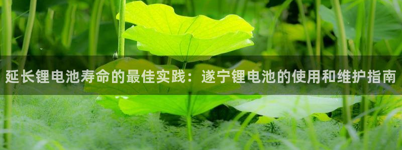 尊龙人生就是博登录：延长锂电池寿命的最佳实践：遂宁锂电池的使用和维护指南