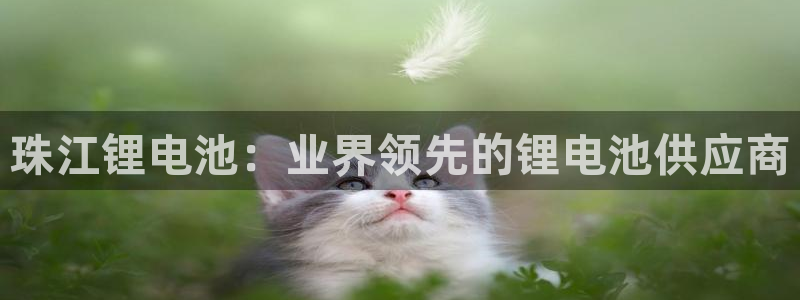 尊龙凯时官网登录入口：珠江锂电池：业界领