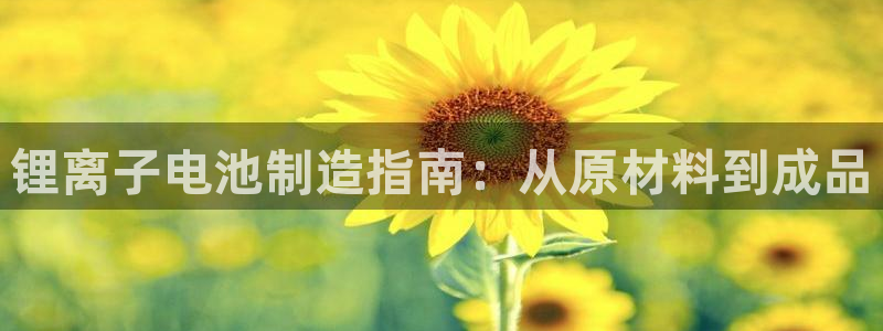 尊龙现金：锂离子电池制造指南：从原材料到