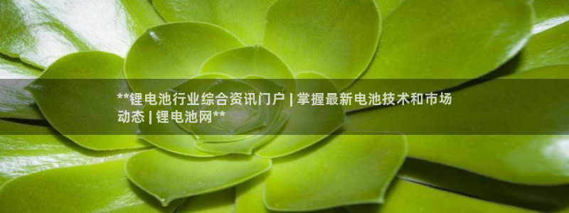 z6尊龙凯时ag旗舰厅：**锂电池行业综合资讯门户 | 掌握最新电池技术和市场
动态 | 锂电池网**