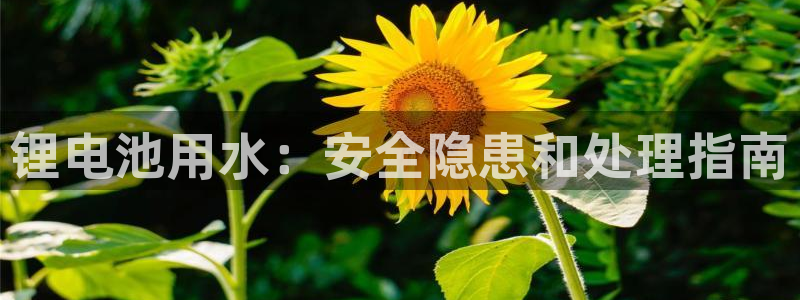 尊龙d88ag旗舰厅
