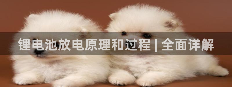 尊龙凯时有没有出不了款的情况
